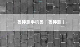 鲁评测手机鲁「鲁评测」